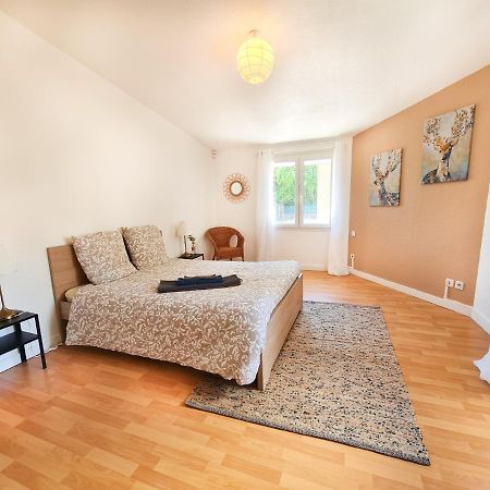 Le Zola - Appartement Spacieux - Grenoble Ngoại thất bức ảnh