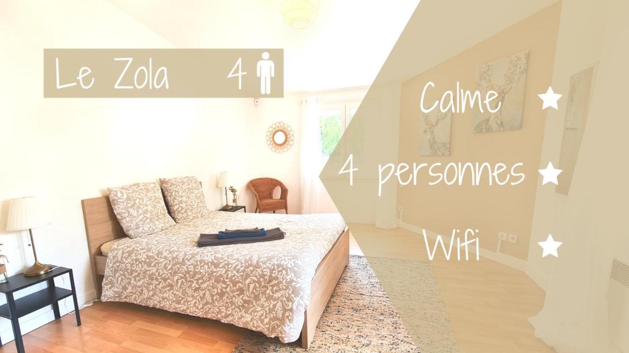Le Zola - Appartement Spacieux - Grenoble Ngoại thất bức ảnh